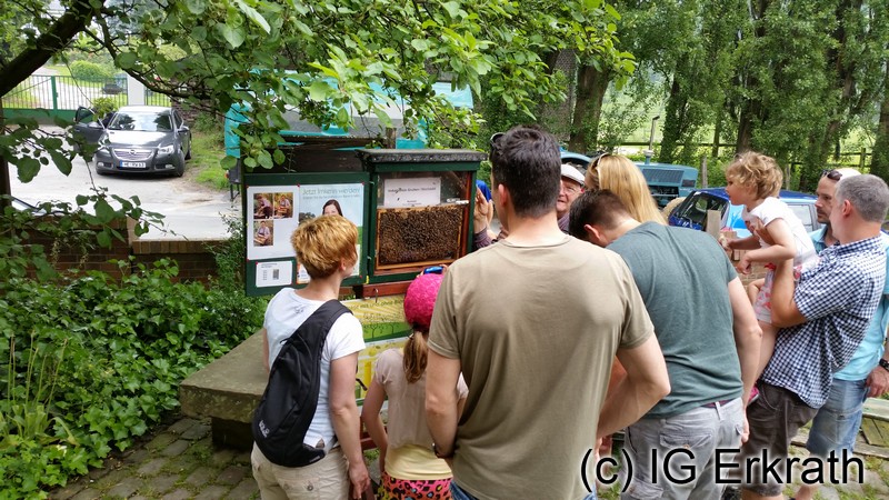 Zahlreiche Besucher im Naturschutzzentrum Bruchhausen