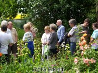 aktionstag-bruchhausen-2015-06-13-ig-erkrath-038.jpg